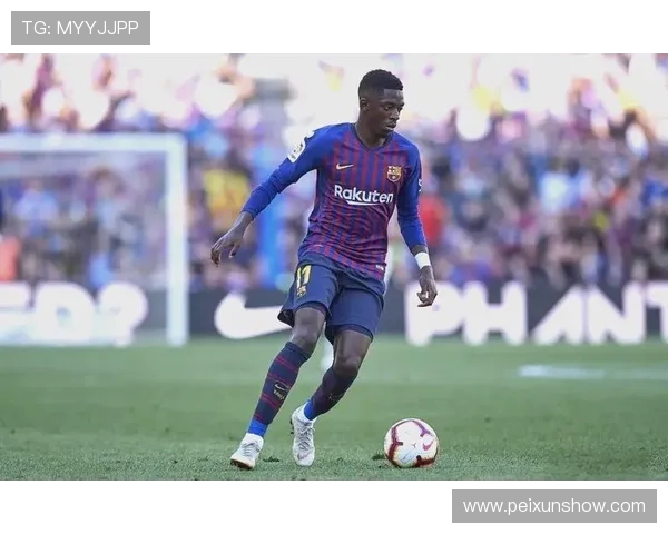 追逐梦想的绿茵传奇足球明星的成长与奋斗之路 追逐梦想的绿茵传奇足球明星的成长与奋斗之路