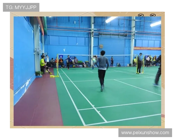 羽毛球专题：深入探讨杭州羽毛球队的比赛策略与经验分享