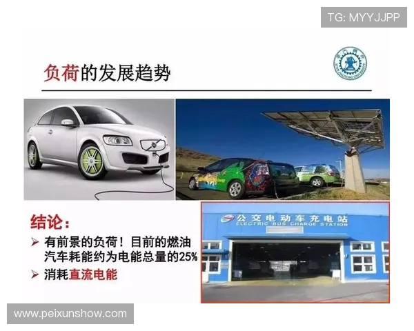 西安羽毛球队近期状态分析与未来发展方向探讨