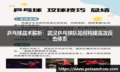 乒乓球战术解析：武汉乒乓球队如何构建高效反击体系