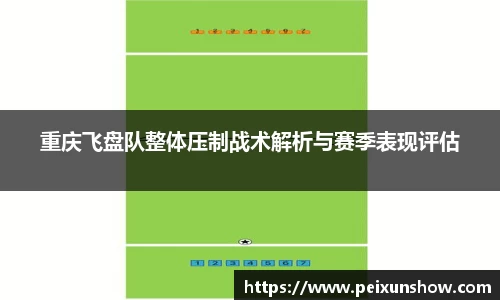 重庆飞盘队整体压制战术解析与赛季表现评估