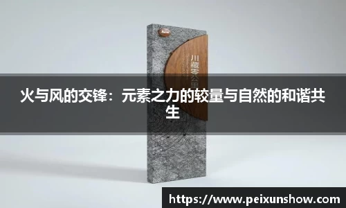 火与风的交锋：元素之力的较量与自然的和谐共生