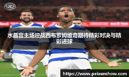水晶宫主场迎战西布罗姆维奇期待精彩对决与精彩进球